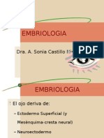 Embriologia Del Ojo - Futura Médica