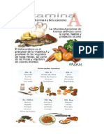 Vitaminas en Los Distintos Alimentos