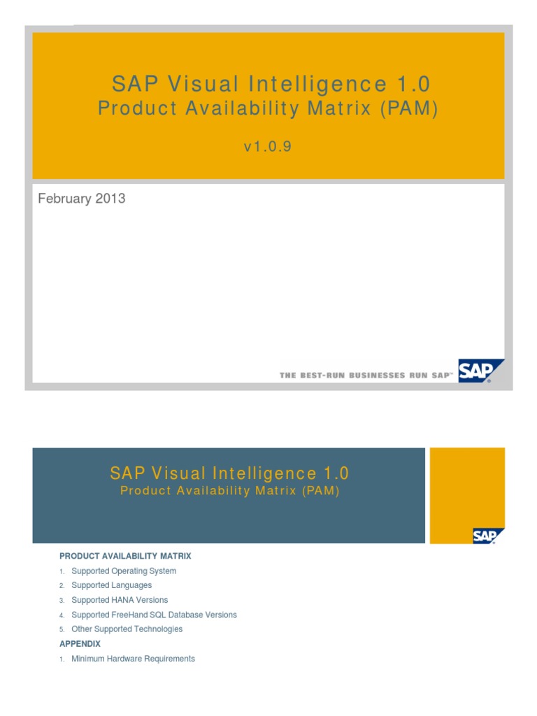 SAP Visual Intelligence 1.0 Product Availability Matrix (PAM)