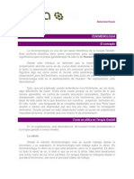 Fenomenología.pdf