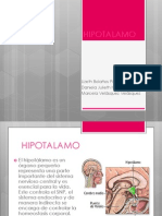 Hipotalamo 120512122209 Phpapp01