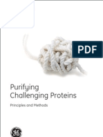 Purifying Challenging Protein