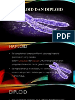 Haploid Dan Diploid 