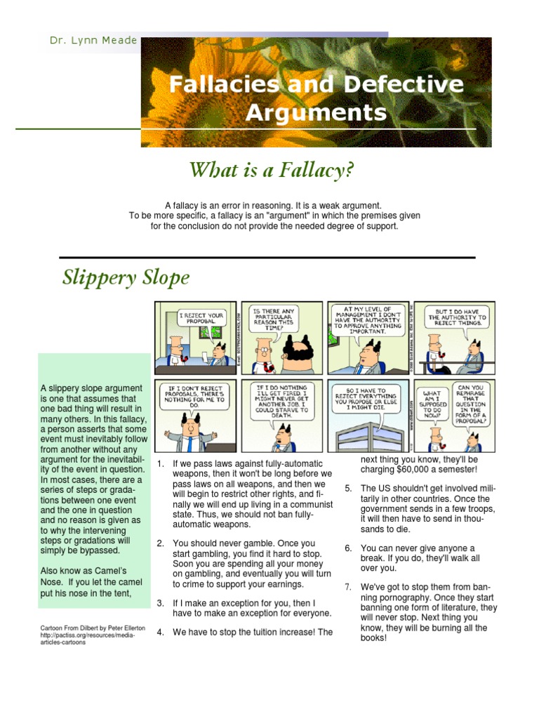 Examples Of Fallacies In Race In America