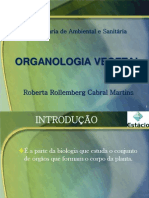 Aula 3 - Organologia - Introdução e raízes  - Botânica Geral