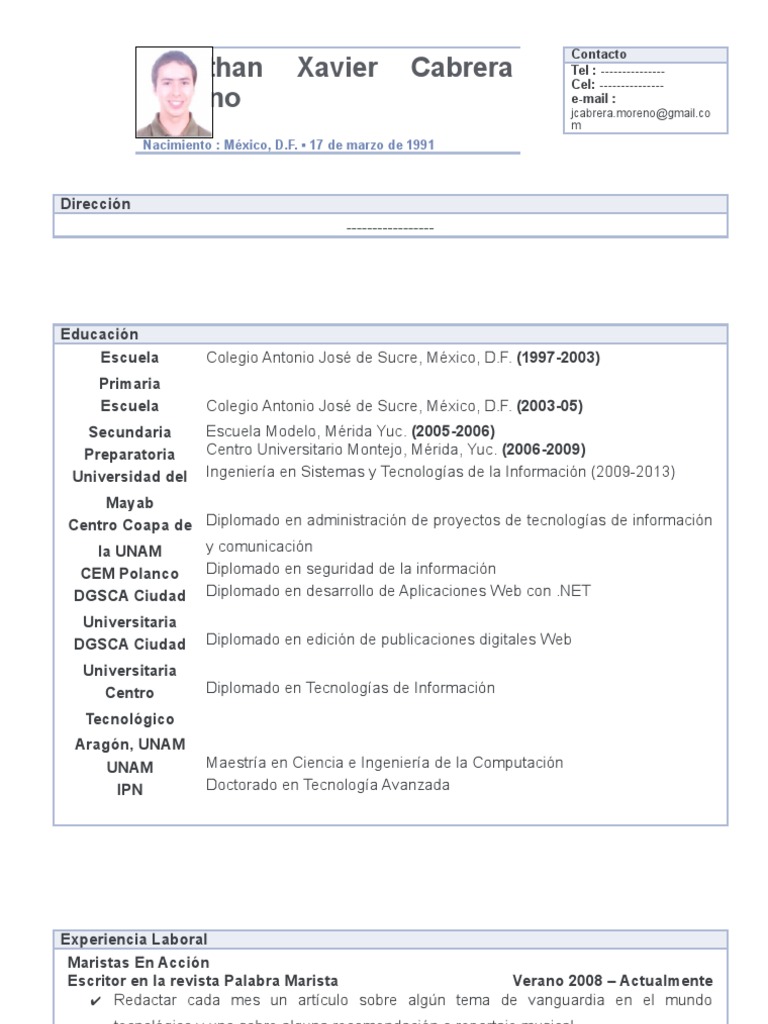 Curriculum vitae examples image