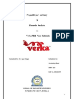 Financial Analysis of Verka