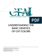 Understanding Cat Colours Cfa