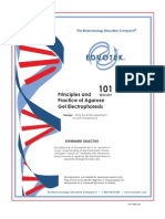 Gel Electrophoresis (2)