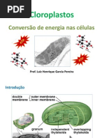 Aula 13 - Cloroplastos