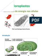 Aula 13 - Cloroplastos