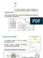 Transporte RE-Golgi