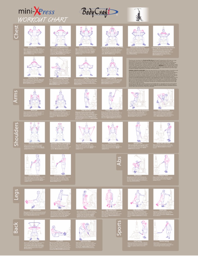 WorkOut Chart | PDF | Strength Training | Arm