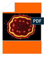Biologia Vegetal Tejidos Clase 2012