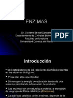 Procesos Biologicos - 08 - Enzimas.13.04.09