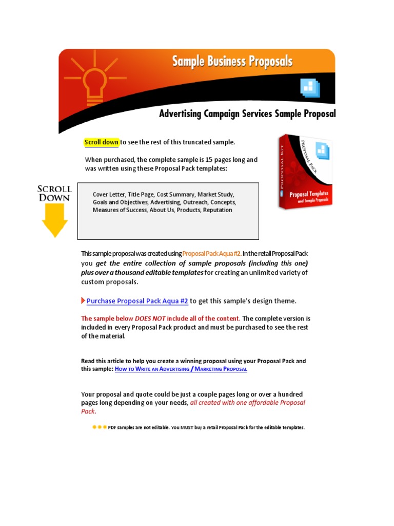 English Project - Advertising Campaign Services Proposal  PDF