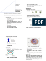 Basic Principles & Pathogenesis Viral Infection