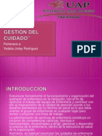 PLAN DE GESTIÓN DEL CUIDADO.pptx