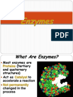04 Enzymes