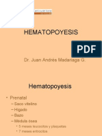 Histologia - 07 - Hematopoyesis.04.05.09