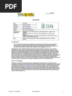 Second Life Explained