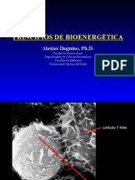 Procesos Biologicos - 10 - Bioenergetica.27.04.09