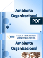 seminrioambienteorganizacional-100508080139-phpapp01