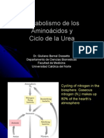 Procesos Biologicos - 15 - Oxidacion de Amino Acidos y Ciclo de La Urea.25.05.09