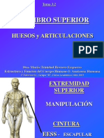 4.1 Miembro Superior Huesos y Articulaciones.ppt