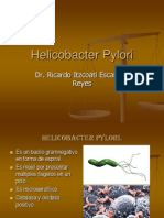 Helicobacter Pylori