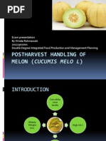 Download Postharvest Handling of Melon Cucumis Melo l  by Wind Si Purple SN158623500 doc pdf