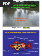 Apresentacao Marcos Tavares Analise Teorica Pratica de Parasitos Em Peixes Cultivados