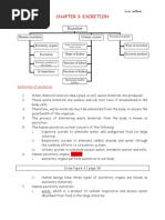 Microsoft Word Chapter 3 Excretion