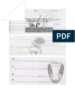 5 Sensory Organ Label