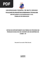 Trabalho de Graduação_ALEXANDRE(1)