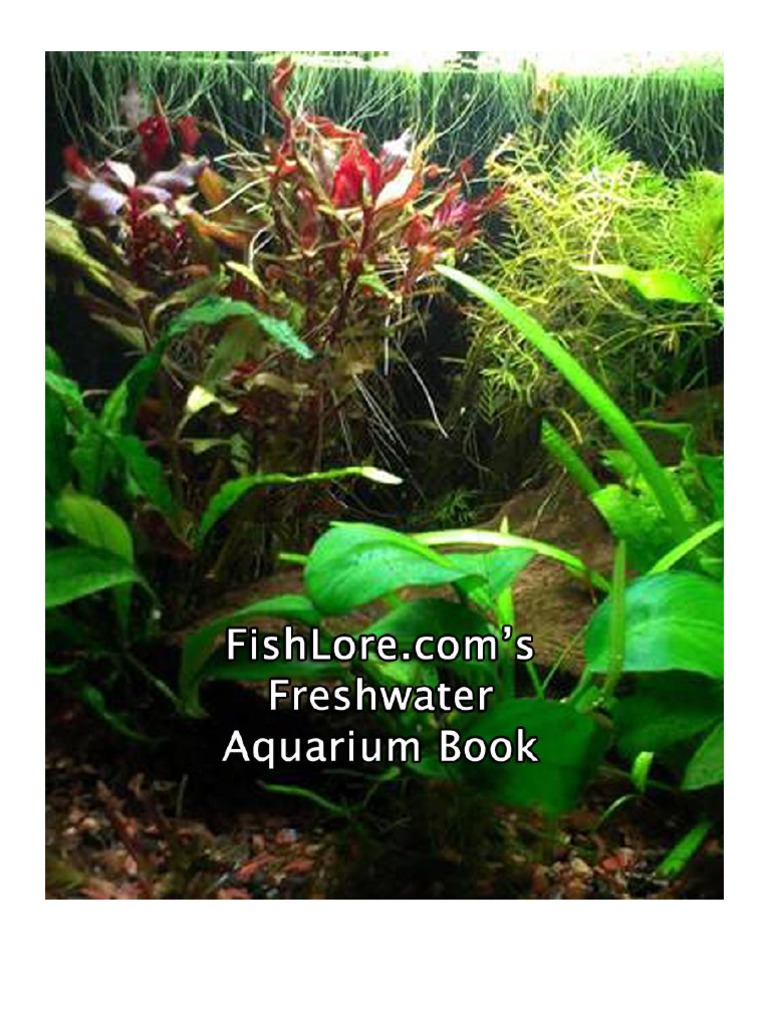 Freshwater Aquarium Book Aquarium Nitrate
