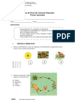 Prueba de Nivel de Ciencias Naturales 4 Basico 1