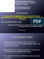 Prezentarea - TCC - Instabilitatea Hemodinamica