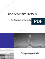 sap01 overview