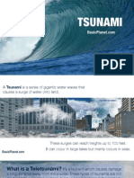 Tsunami - Natural Disaster