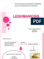 Leishmaniosis Clau