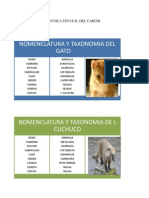 TAXONOMIAS.docx