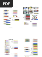 Violin String Color Identification Chart | PDF | Violin | Gaiaphones