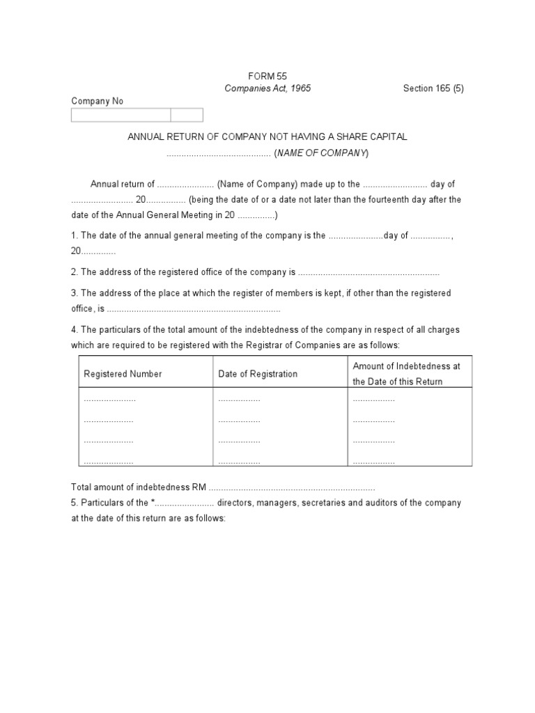 Annual Return Form for Companies | PDF | Government Information ...