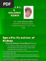 Download NEPHROPATHOLOGY by Abu Habib SN15885385 doc pdf