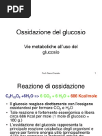 Glucose Oxidation