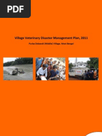 Village Veterinary Disaster Management Plan (VVDMP)