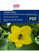 Manual de producción de pepino.
