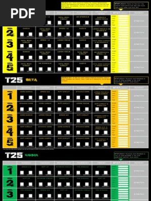 Focus T25 Free