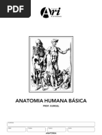 Gabarito Manual Anatomia
